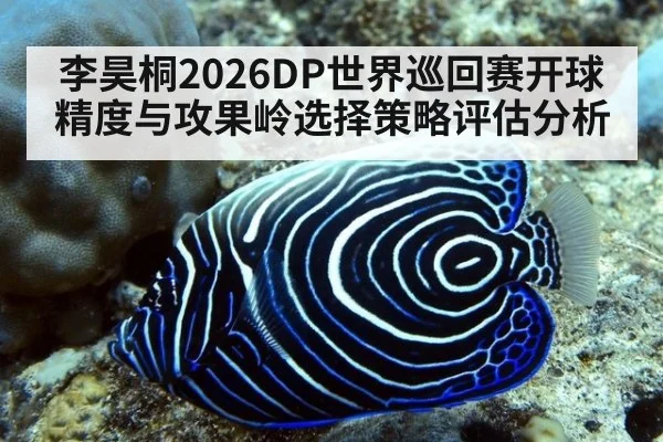 李昊桐2026DP世界巡回赛开球精度与攻果岭选择策略评估分析